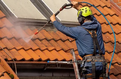 Démoussage et hydrofuge de toiture à Villargoix